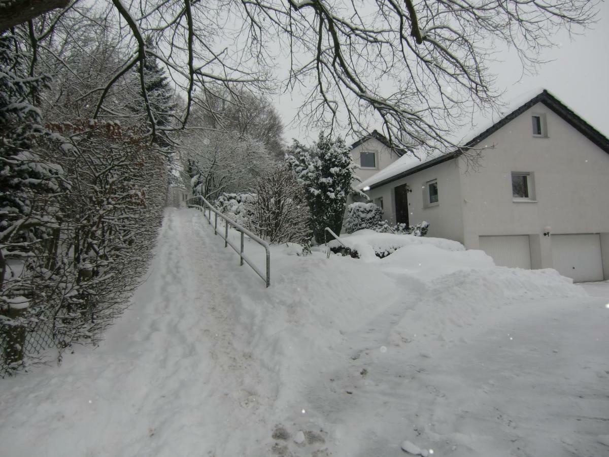 Ferienhaus Moock Horn-Bad Meinberg Exterior foto
